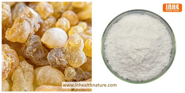 Frankincense and Boswellia Extract Powder
