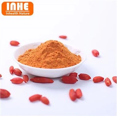 Poudre de baies de Goji lyophilisées