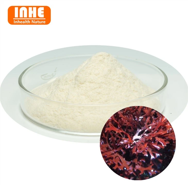 Agar Agar en poudre en gros