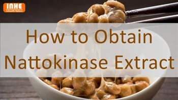 Comment obtenir l'extrait de Nattokinase ?
