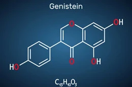 La poudre de génistéine peut-elle jouer un rôle dans la santé des os ?