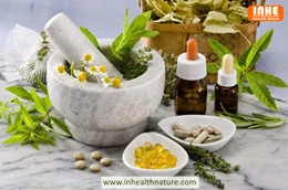 Comment obtenir de l'extrait de racine de Gromwell avec une extraction par fl...