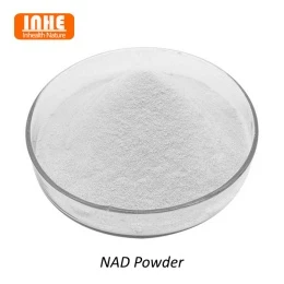 Pourquoi la technologie liposomale est-elle adaptée à la poudre de NAD ?