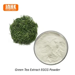 Extrait de thé vert vs extrait de matcha