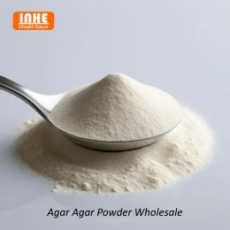 Marché de la poudre d’agar : tendances mondiales et guide d’approvisionnement...