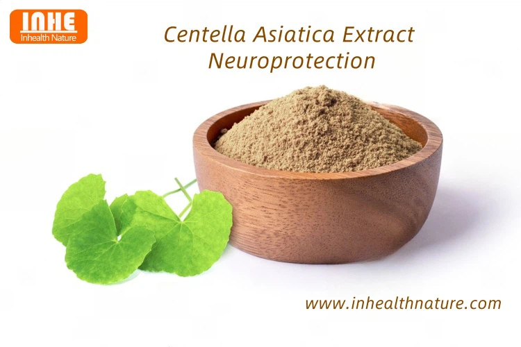 Centella Asiatica Extract