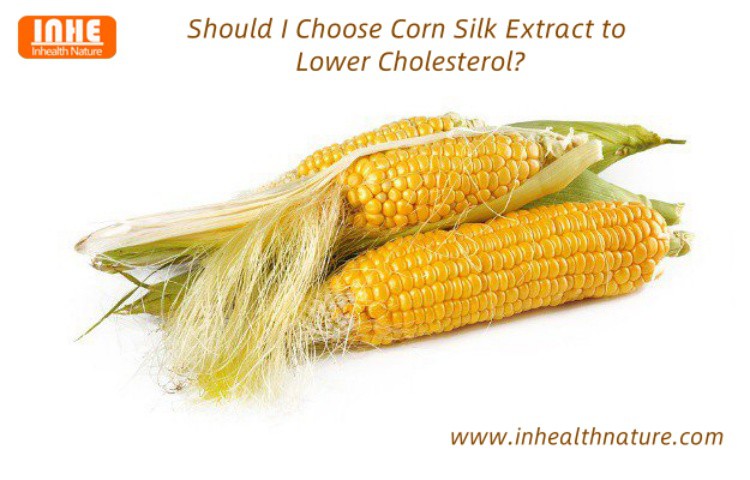 Should I Choose Corn Silk Extract to Lower Cholesterol Should I Choose Corn Silk Extract to Lower Cholesterol