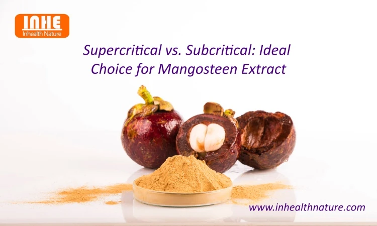Supercritical vs Subcritical Ideal Choice for Mangosteen Extract