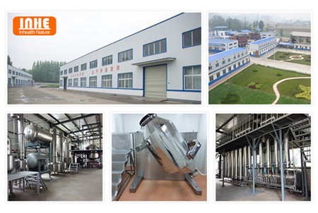 Our Factory