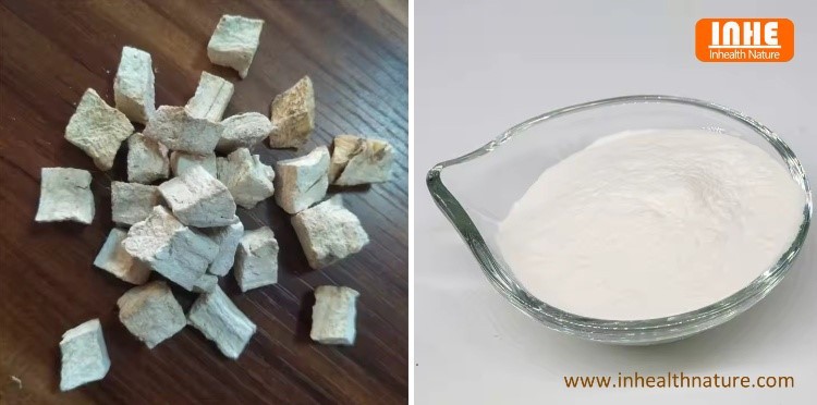 Kudzu Roots and Puerarin Powder